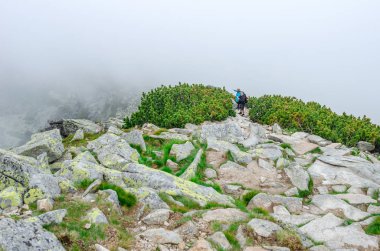 Tatra Dağları'ndaki dağ parkurlarında turistler, Slovakya.