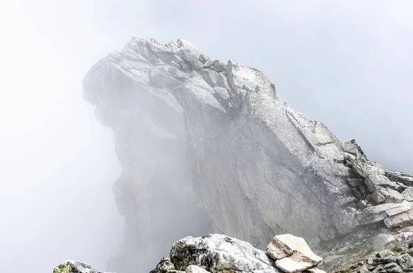La cima de la montaña rocosa está envuelta en espesa niebla . — Foto de Stock