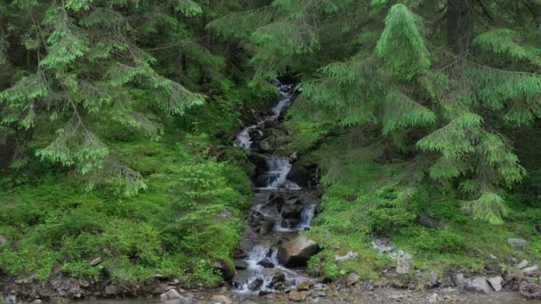 Cascade dans les montagnes. — Video