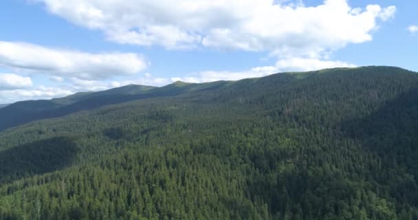Drone vlucht over bergen bedekt met naaldbos. — Stockvideo