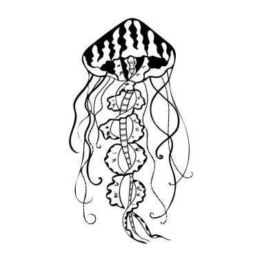 Vektör resim denizanası. Medusa illüstrasyon izole beyaz arka plan, öğe dövme tasarım, çizgi film, doodle