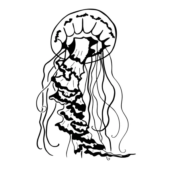 Vector Painting Jellyfish Medusa Illustration Isolated White Background Element Tattoo — Stock Vector