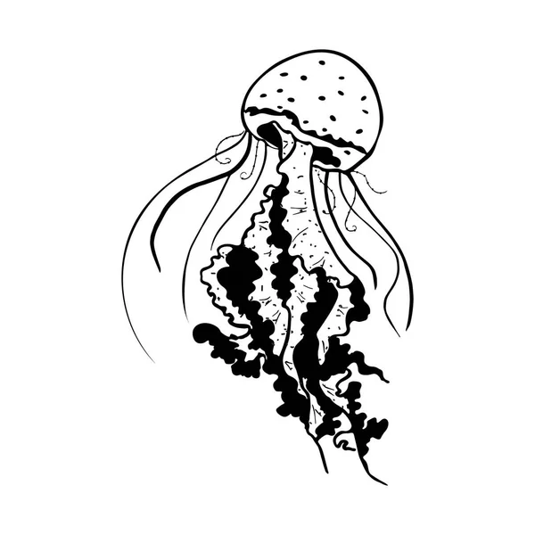 Vector Painting Jellyfish Medusa Illustration Isolated White Background Element Tattoo — Stock Vector