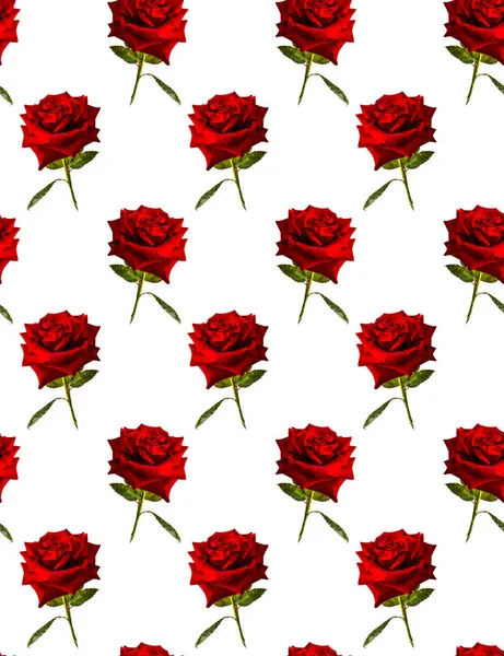 緑の葉と赤いバラ ベクター デザイン — ストックベクタ