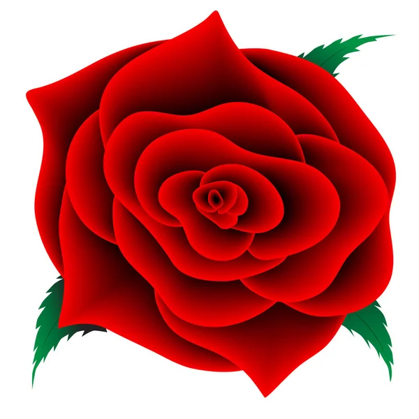 红玫瑰与绿叶 矢量设计 — 图库矢量图片