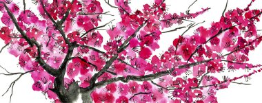 Şu yeni gelişen bir ağaç dalı. Pembe ve kırmızı erik çiçekleri stilize mei, yabani kayısı ve sakura. Suluboya ve mürekkep çizim stili sumi-e, u-sin. Oryantal geleneksel resim.  