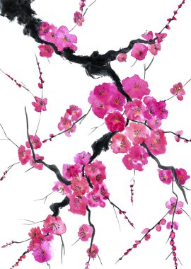Şu yeni gelişen bir ağaç dalı. Pembe ve kırmızı erik çiçekleri stilize mei, yabani kayısı ve sakura. Suluboya ve mürekkep çizim stili sumi-e, u-sin. Oryantal geleneksel resim.  
