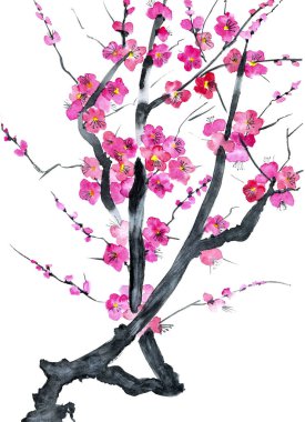 Şu yeni gelişen bir ağaç dalı. Pembe ve kırmızı erik çiçekleri stilize mei, yabani kayısı ve sakura. Suluboya ve mürekkep çizim stili sumi-e, u-sin. Oryantal geleneksel resim.  