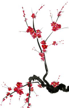 Şu yeni gelişen bir ağaç dalı. Pembe ve kırmızı erik çiçekleri stilize mei, yabani kayısı ve sakura. Suluboya ve mürekkep çizim stili sumi-e, u-sin. Oryantal geleneksel resim.  