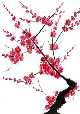 Şu yeni gelişen bir ağaç dalı. Pembe ve kırmızı erik çiçekleri stilize mei, yabani kayısı ve sakura. Suluboya ve mürekkep çizim stili sumi-e, u-sin. Oryantal geleneksel resim.  