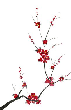 Şu yeni gelişen bir ağaç dalı. Pembe ve kırmızı erik çiçekleri stilize mei, yabani kayısı ve sakura. Suluboya ve mürekkep çizim stili sumi-e, u-sin. Oryantal geleneksel resim.  