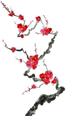 Şu yeni gelişen bir ağaç dalı. Pembe ve kırmızı erik çiçekleri stilize mei, yabani kayısı ve sakura. Suluboya ve mürekkep çizim stili sumi-e, u-sin. Oryantal geleneksel resim.  