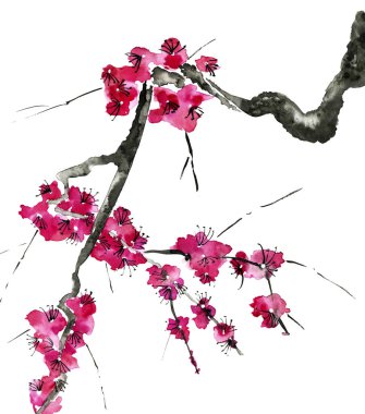 Şu yeni gelişen bir ağaç dalı. Pembe ve kırmızı erik çiçekleri stilize mei, yabani kayısı ve sakura. Suluboya ve mürekkep çizim stili sumi-e, u-sin. Oryantal geleneksel resim.  