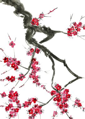 Şu yeni gelişen bir ağaç dalı. Pembe ve kırmızı erik çiçekleri stilize mei, yabani kayısı ve sakura. Suluboya ve mürekkep çizim stili sumi-e, u-sin. Oryantal geleneksel resim. Beyaz arka plan üzerinde izole.
