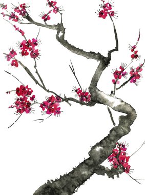 Şu yeni gelişen bir ağaç dalı. Pembe ve kırmızı erik çiçekleri stilize mei, yabani kayısı ve sakura. Suluboya ve mürekkep çizim stili sumi-e, u-sin. Oryantal geleneksel resim.  