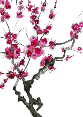 Şu yeni gelişen bir ağaç dalı. Pembe ve kırmızı erik çiçekleri stilize mei, yabani kayısı ve sakura. Suluboya ve mürekkep çizim stili sumi-e, u-sin. Oryantal geleneksel resim.  
