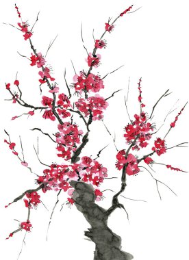 Şu yeni gelişen bir ağaç dalı. Pembe ve kırmızı erik çiçekleri stilize mei, yabani kayısı ve sakura. Suluboya ve mürekkep çizim stili sumi-e, u-sin. Oryantal geleneksel resim.  