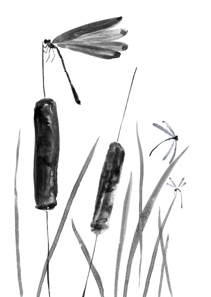 Dragonfly Bulrush Watercolor Ink Illustration Style Sumi Sin Hua Oriental — Stock Photo, Image