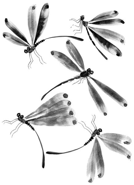 Dragonfly Akvarell Och Tusch Illustration Stil Sumi Synd Hua Oriental — Stockfoto