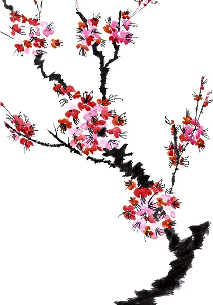 Pobočka Kvetoucí Strom Růžové Květy Sakura Akvarel Tuš Ilustrace Styl — Stock fotografie