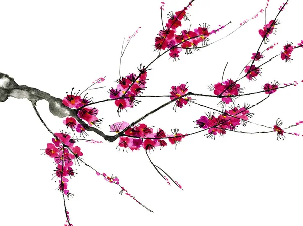 Branch Blossoming Tree Pink Flowers Sakura Watercolor Ink Illustration Style — Stock Photo, Image