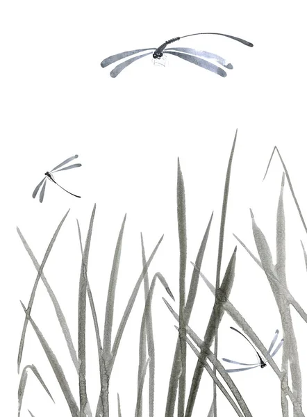 Dragonfly Grass Watercolor Ink Illustration Style Sumi Sin Hua Oriental — Stock Photo, Image