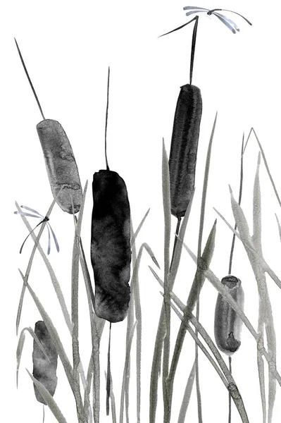 Λιβελλούλη Και Βούρλο Νερομπογιές Και Μελάνι Απεικόνιση Στυλ Sumi Σιν — Φωτογραφία Αρχείου