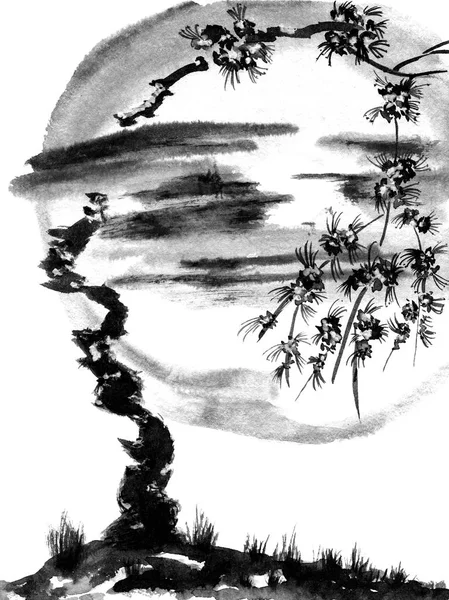 Sakura Δέντρο Στο Φόντο Της Σελήνης Μονόχρωμη Ακουαρέλα Και Μελάνι — Φωτογραφία Αρχείου