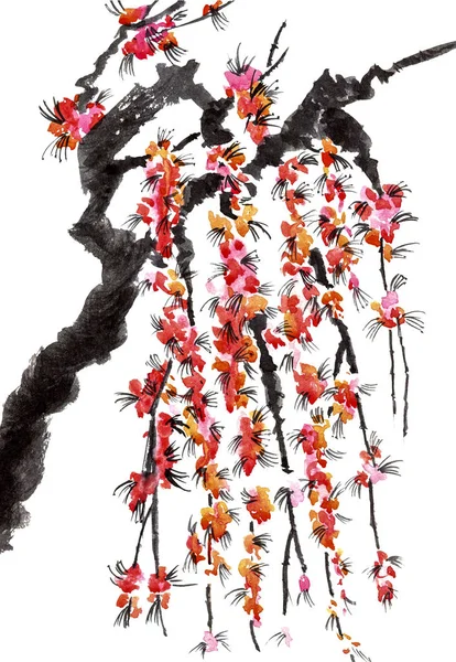 Une Branche Arbre Fleurs Fleurs Roses Sakura Aquarelle Illustration Encre — Photo