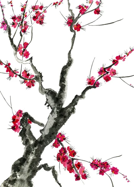 Una Rama Árbol Floreciente Flores Rosadas Sakura Acuarela Ilustración Tinta —  Fotos de Stock