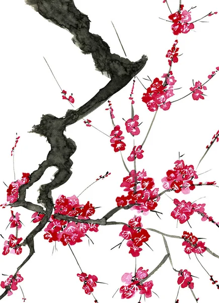 Une Branche Arbre Fleurs Fleurs Roses Sakura Aquarelle Illustration Encre — Photo