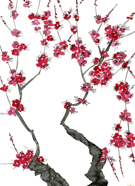 Una Rama Árbol Floreciente Flores Rosadas Sakura Acuarela Ilustración Tinta —  Fotos de Stock