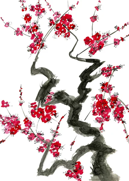 開花木の枝 ピンクと赤が梅の花を様式化された美 野生アプリコット さくら スタイル墨絵 インク イラスト 東洋の伝統的な絵画 白い背景に分離 — ストック写真