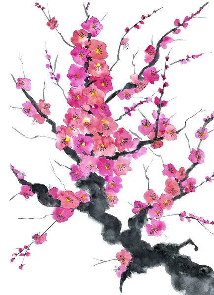 나무의 분기입니다 핑크와 레드의 살구와 사쿠라 수채화 스타일 Sumi 전통적인 — 스톡 사진