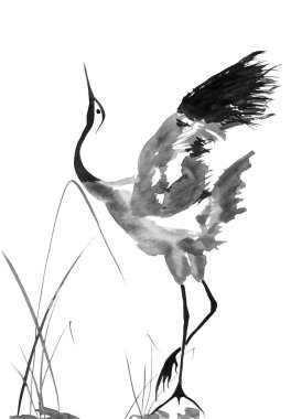 Japonca kuş çizim vinç. Suluboya ve mürekkep çizim stili sumi-e, u-sin, go-hua Oriental geleneksel resim. İzole .