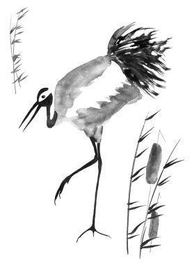 Japonca kuş çizim vinç. Suluboya ve mürekkep çizim stili sumi-e, u-sin, go-hua Oriental geleneksel resim. İzole .