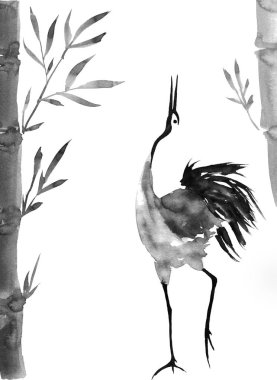 Japonca kuş çizim vinç. Suluboya ve mürekkep çizim stili sumi-e, u-sin, go-hua Oriental geleneksel resim. İzole .