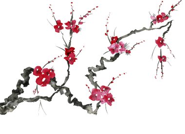 Şu yeni gelişen bir ağaç dalı. Pembe ve kırmızı erik çiçekleri stilize mei, yabani kayısı ve sakura. Suluboya ve mürekkep çizim stili sumi-e, u-sin. Oryantal geleneksel resim.  