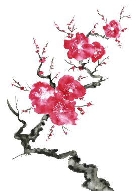 Şu yeni gelişen bir ağaç dalı. Pembe ve kırmızı erik çiçekleri stilize mei, yabani kayısı ve sakura. Suluboya ve mürekkep çizim stili sumi-e, u-sin. Oryantal geleneksel resim.  