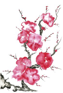 Şu yeni gelişen bir ağaç dalı. Pembe ve kırmızı erik çiçekleri stilize mei, yabani kayısı ve sakura. Suluboya ve mürekkep çizim stili sumi-e, u-sin. Oryantal geleneksel resim.  