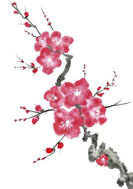 Şu yeni gelişen bir ağaç dalı. Pembe ve kırmızı erik çiçekleri stilize mei, yabani kayısı ve sakura. Suluboya ve mürekkep çizim stili sumi-e, u-sin. Oryantal geleneksel resim.  