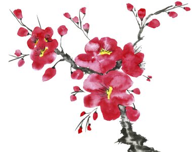 Şu yeni gelişen bir ağaç dalı. Pembe ve kırmızı erik çiçekleri stilize mei, yabani kayısı ve sakura. Suluboya ve mürekkep çizim stili sumi-e, u-sin. Oryantal geleneksel resim.  