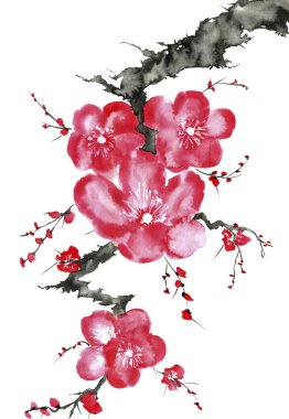 Şu yeni gelişen bir ağaç dalı. Pembe ve kırmızı erik çiçekleri stilize mei, yabani kayısı ve sakura. Suluboya ve mürekkep çizim stili sumi-e, u-sin. Oryantal geleneksel resim.  