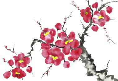 Şu yeni gelişen bir ağaç dalı. Pembe ve kırmızı erik çiçekleri stilize mei, yabani kayısı ve sakura. Suluboya ve mürekkep çizim stili sumi-e, u-sin. Oryantal geleneksel resim.  