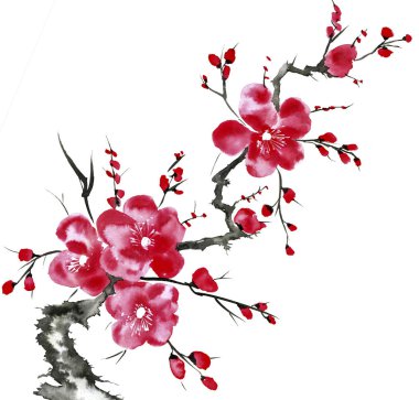Şu yeni gelişen bir ağaç dalı. Pembe ve kırmızı erik çiçekleri stilize mei, yabani kayısı ve sakura. Suluboya ve mürekkep çizim stili sumi-e, u-sin. Oryantal geleneksel resim.  