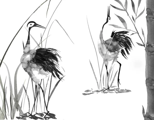 Due Innamorati Gru Giapponesi Uccello Illustrazione Acquerello Inchiostro Stile Sumi — Foto Stock
