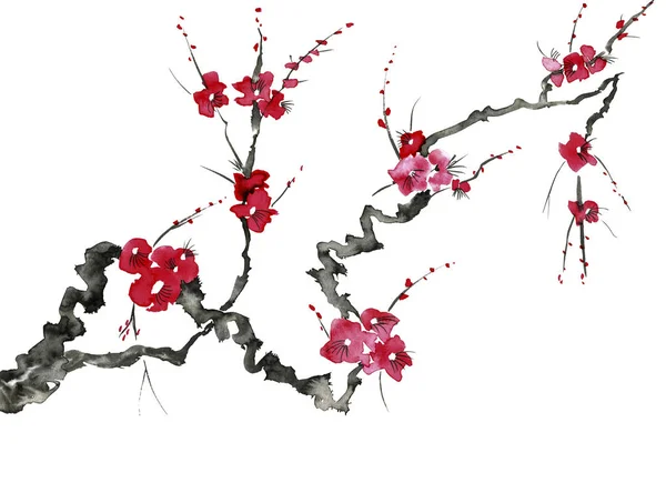 Une Branche Arbre Fleurs Fleurs Roses Rouges Stylisées Prune Mei — Photo