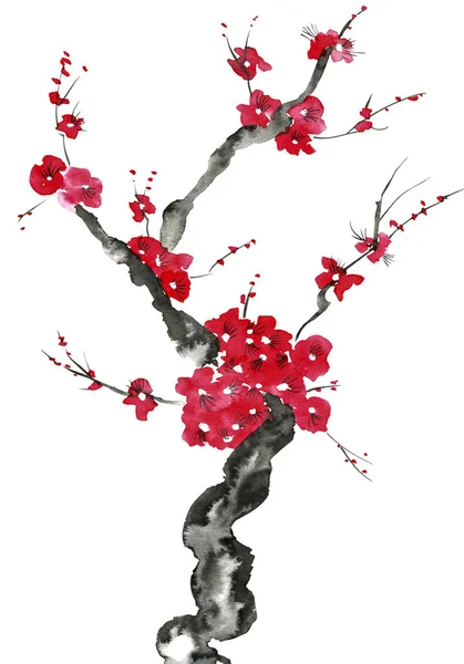 Pobočka Kvetoucí Strom Růžové Červené Stylizované Květy Švestky Mei Divoké — Stock fotografie