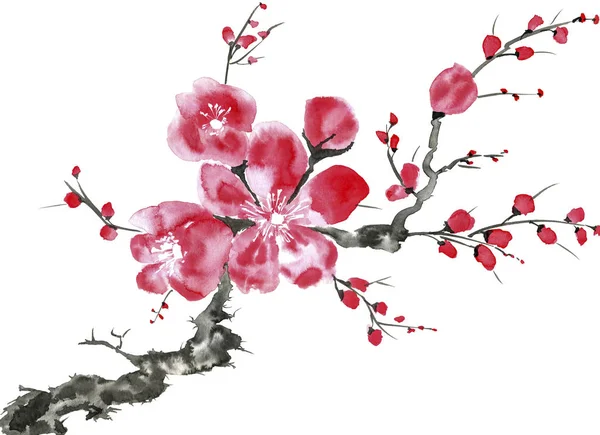 Гілка Квітучого Дерева Рожеві Червоні Стилізовані Квіти Сливового Мея Дикі — стокове фото