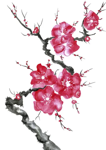 Гілка Квітучого Дерева Рожеві Червоні Стилізовані Квіти Сливового Мея Дикі — стокове фото